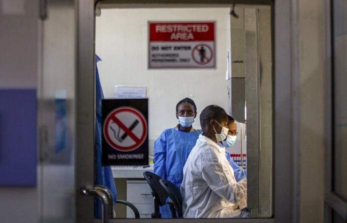 le bilan de l’épidémie de fièvre de Marburg s’élève à 12, un vaccin est en cours de test