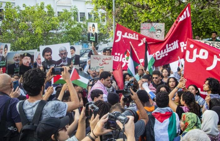 Marche en soutien à la Palestine et au Liban (Photos)