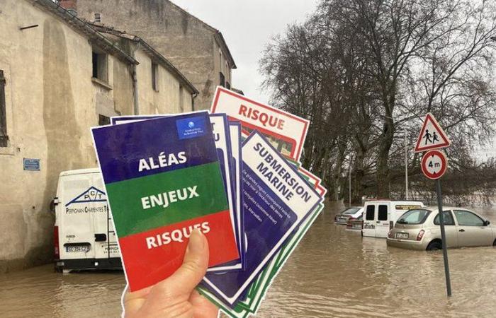 Les habitants invités à participer à une fresque vivante à l’occasion de la Journée de la Résilience à Sète