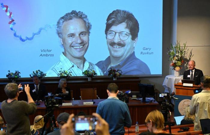 Les Américains Victor Ambros et Gary Ruvkun remportent le prix Nobel de médecine pour la découverte du microARN ; Ruvkun est juif