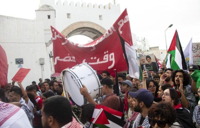 Marche en soutien à la Palestine et au Liban (Photos)