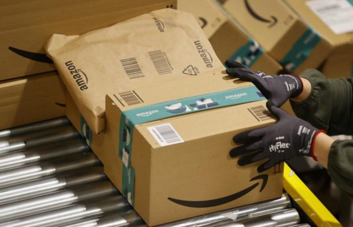 un an après la mesure, Amazon et les libraires continuent de peiner – le 10/07/2024 à 11:48