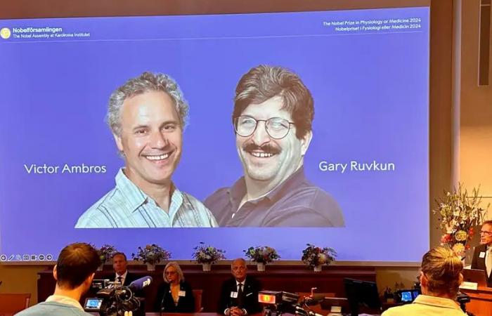 Deux scientifiques américains remportent le prix Nobel de médecine