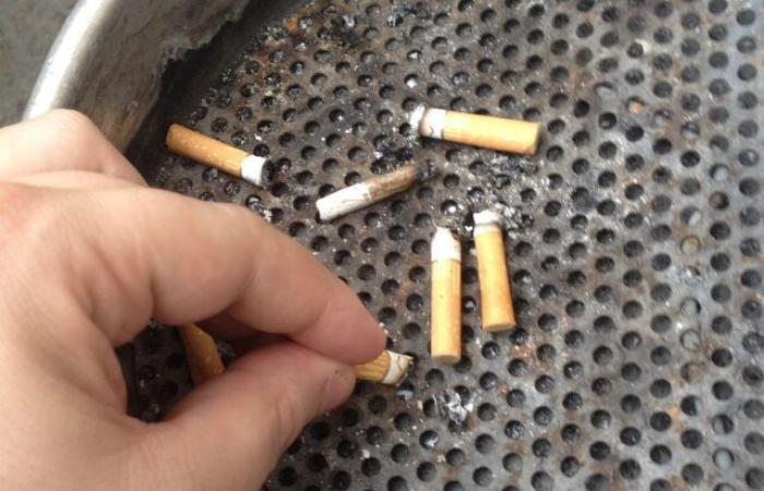 mise en œuvre d’actions pour lutter contre le jet de mégots de cigarettes