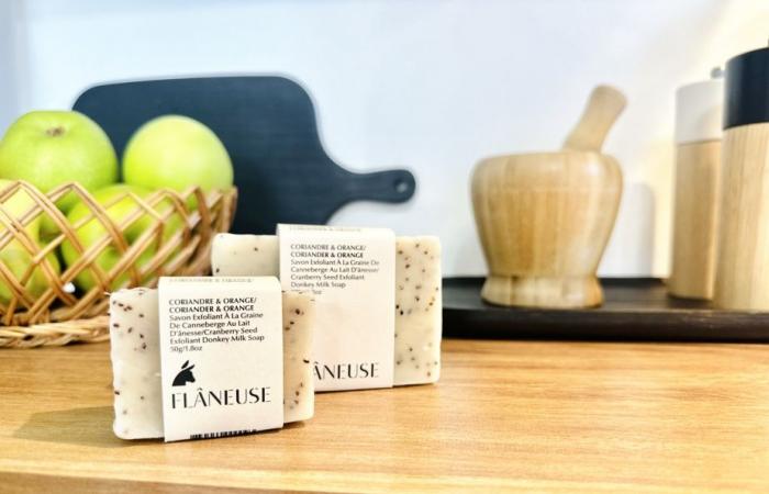 Innovation PME | Le lait d’ânesse… un secret de beauté