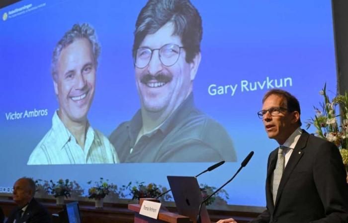 Le prix Nobel de médecine revient aux Américains Ambros et Ruvkun pour leur avancée dans la régulation des gènes