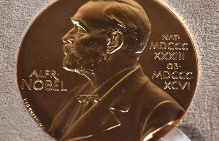 Victor Ambros et Gary Ruvkun reçoivent le prix Nobel de médecine 2024