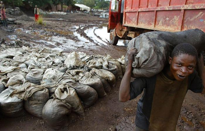 le cobalt de RDC inscrit sur la liste des produits « du travail des enfants »