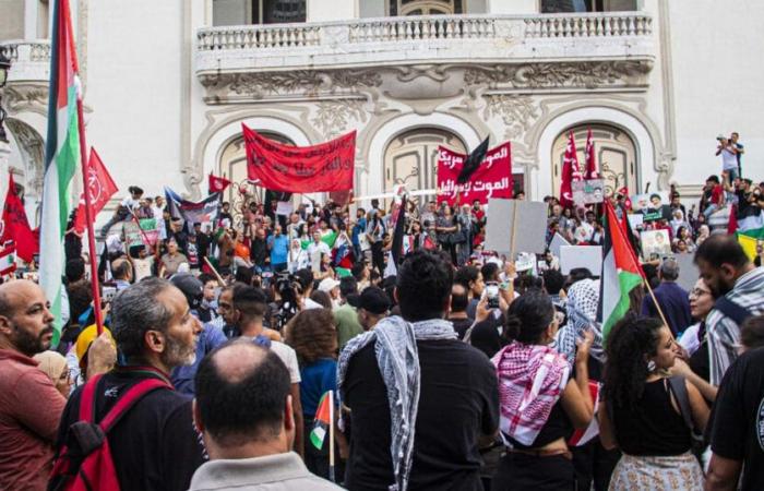 Marche en soutien à la Palestine et au Liban (Photos)