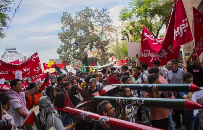 Marche en soutien à la Palestine et au Liban (Photos)