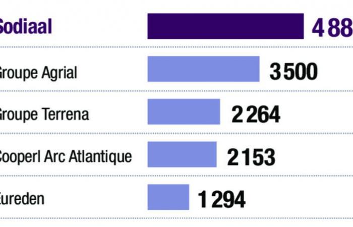 Qui sont les 100 premiers industriels de l’agroalimentaire en France en 2023 ? [EXCLUSIF]