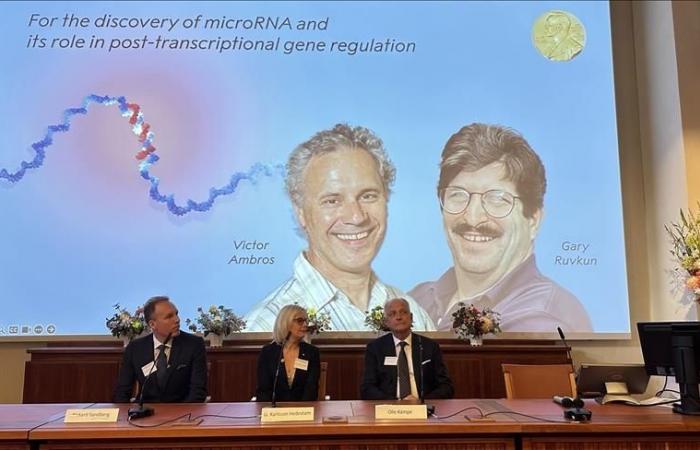 Les États-Unis reçoivent le prix Nobel de médecine 2024 pour la découverte des microARN