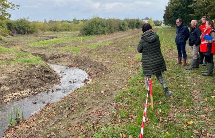 travaux réalisés sur un ruisseau à La Flèche