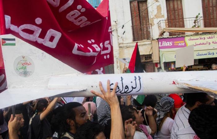 Marche en soutien à la Palestine et au Liban (Photos)