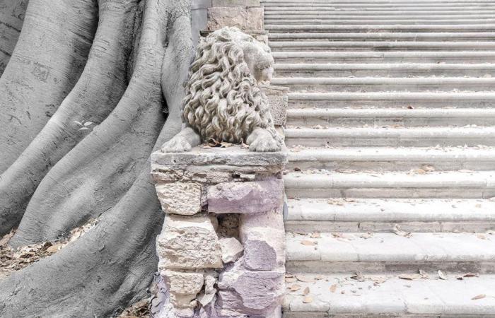 Du Ragusa Foto Festival à la découverte du Seuil, avec Mario Cresci