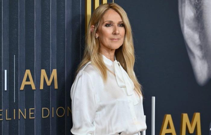 Céline Dion fait une apparition surprise dans une publicité lors d’un match de football américain