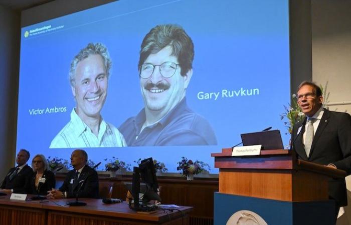 Qui sont Victor Ambros et Gary Ruvkun, les deux chercheurs qui viennent de remporter le prix Nobel de médecine pour la découverte des microARN ?