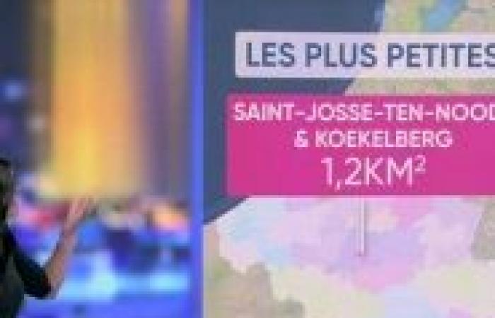 quel rôle pour les provinces en Belgique ?