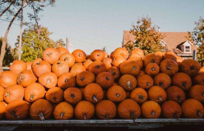 6 belles activités gratuites à faire à Lévis