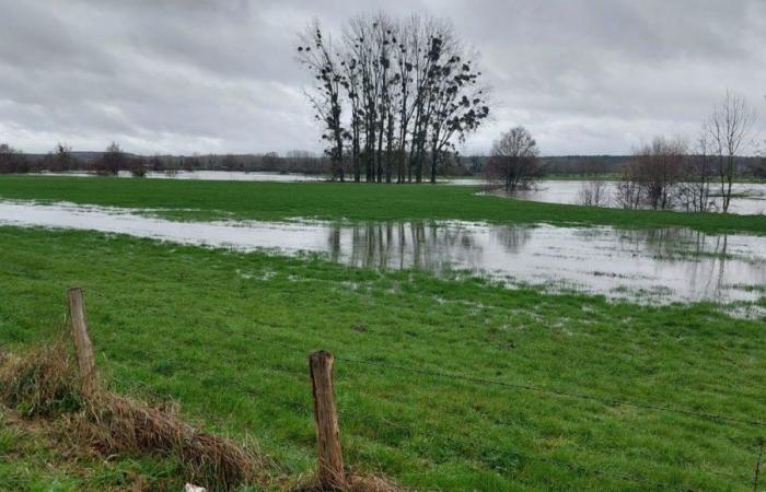 Trois semaines de pluie attendues en une journée dans la Sarthe avec le passage de l’ex-ouragan Kirk