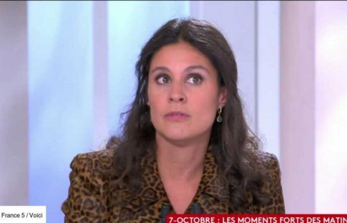 Apolline de Malherbe choquée par les insultes contre Arthur sur les réseaux sociaux (ZAPTV)