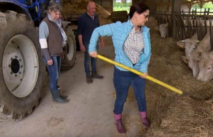 Anne abandonnée par Renaud (L’amour est dans le pré 2024), elle recadre l’agriculteur et son autre prétendant (SPOILER)