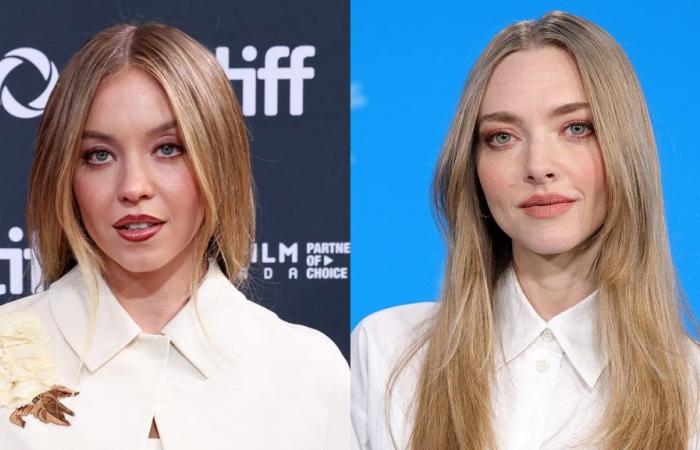 Sydney Sweeney et Amanda Seyfried joueront dans “The Housemaid” pour Feig