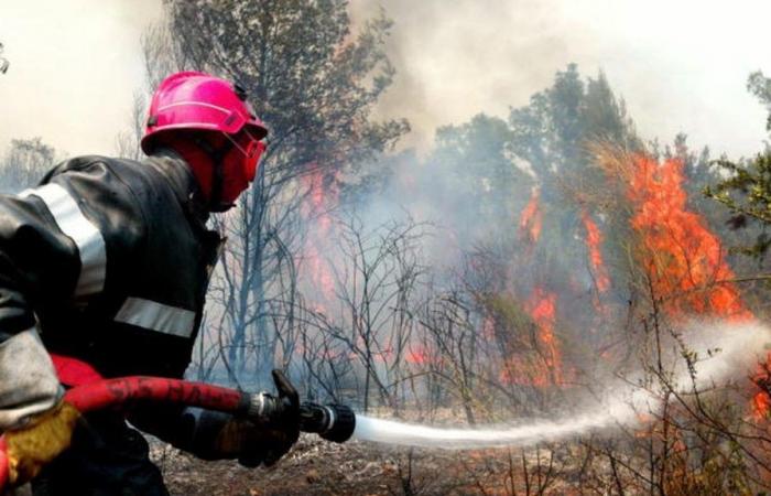 L’Est de la France anticipe un doublement du risque incendie