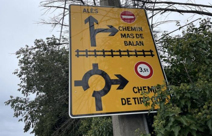 SOIRÉE SUR Chemin de Tire-Cul ? Un test que certains détestent