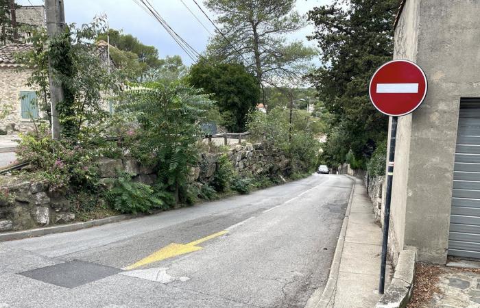 SOIRÉE SUR Chemin de Tire-Cul ? Un test que certains détestent