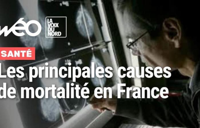 Cancer, maladies respiratoires, accidents… Quelles sont les principales causes de décès en France ? – 08/10/2024