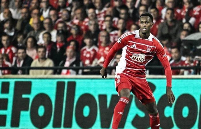 Stade de Brest. Le programme international pendant la pause