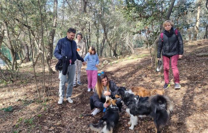 Une journée dédiée à nos animaux de compagnie, samedi à l’Eco’Parc de Mougins