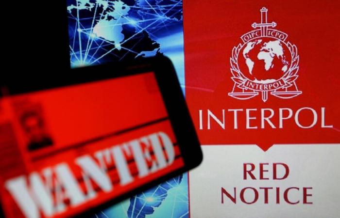 ces 7 corps de femmes qu’Interpol cherche à identifier en France