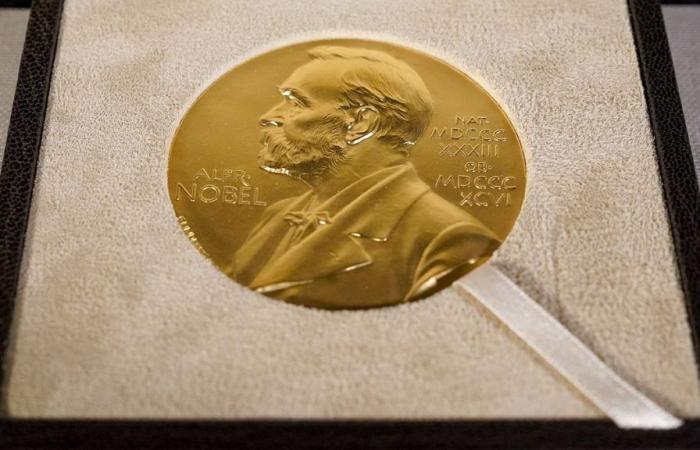 Le prix Nobel de physique décerné à John Hopfield et Geoffrey Hinton