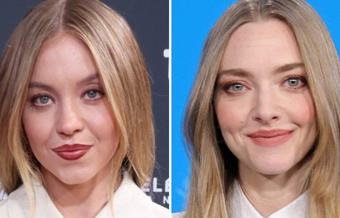 Sydney Sweeney et Amanda Seyfried joueront dans l’adaptation de “The Housemaid”