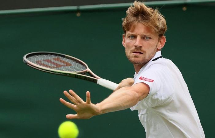 Tennis, ATP – Shanghai Masters 2024 : Goffin dépasse Giron