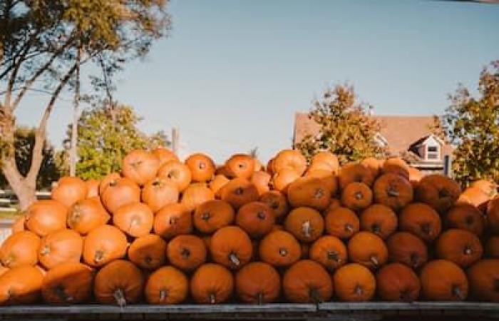 6 belles activités gratuites à faire à Lévis