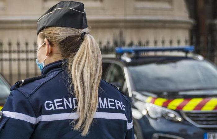 Ivre dans la rue, une détenue en semi-libération s’en prend aux gendarmes qui l’escortent