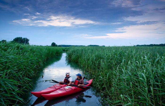 Le parc national des Îles-de-Boucherville sera agrandi