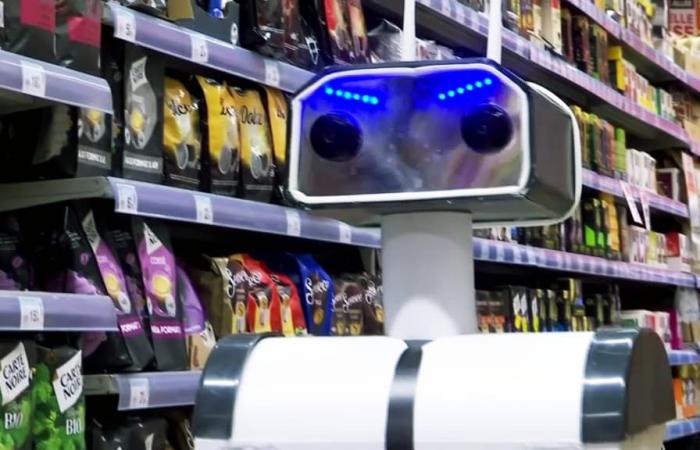 Ce robot a réduit le nombre de vols dans un supermarché Carrefour