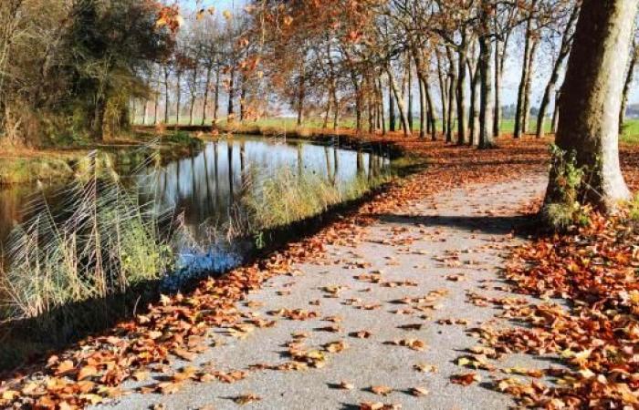 LE Loiret placed on orange rain/flood alert