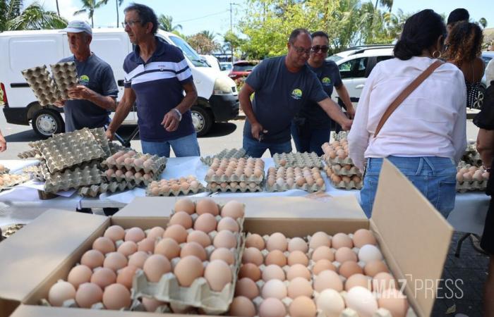 Distribution d’œufs gratuits à Saint-Denis, les éleveurs en colère