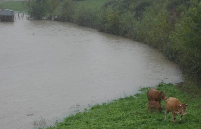 Tempête Kirk. Le coup est dur pour les agriculteurs et maraîchers de Loire-Atlantique