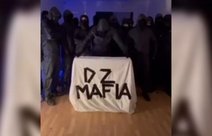 enquête ouverte après la diffusion d’une vidéo insolite de la « DZ Mafia »