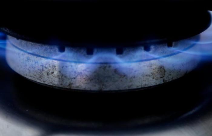 Les prix du gaz deviendront « beaucoup plus raisonnables » à partir de 2025 et pendant plusieurs années