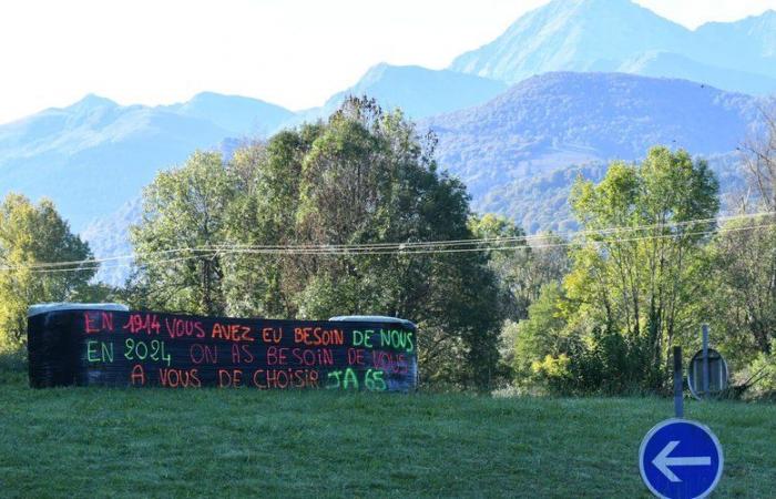 « Pour l’instant, ce ne seront que des banderoles. Après on verra”… Les jeunes agriculteurs attendent l’action du gouvernement