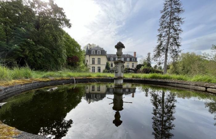 Que va devenir le maudit château des Yvelines, vendu aux enchères pour plus de 900 000 euros ?