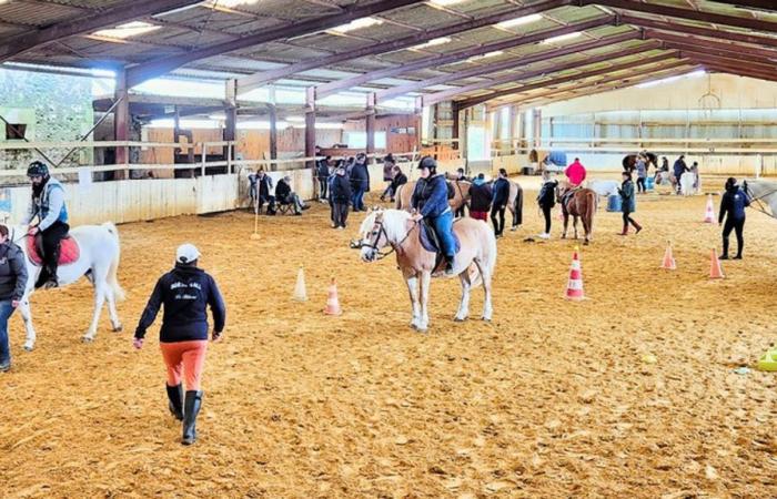 une journée cheval et diversité