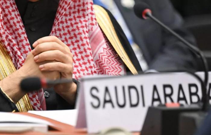 L’ONU refuse l’entrée de l’Arabie saoudite au Conseil des droits de l’homme